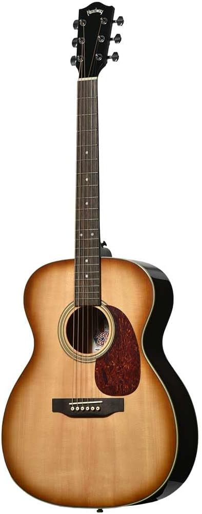 Headway】【スポット生産モデル】 アコースティックギター Essential